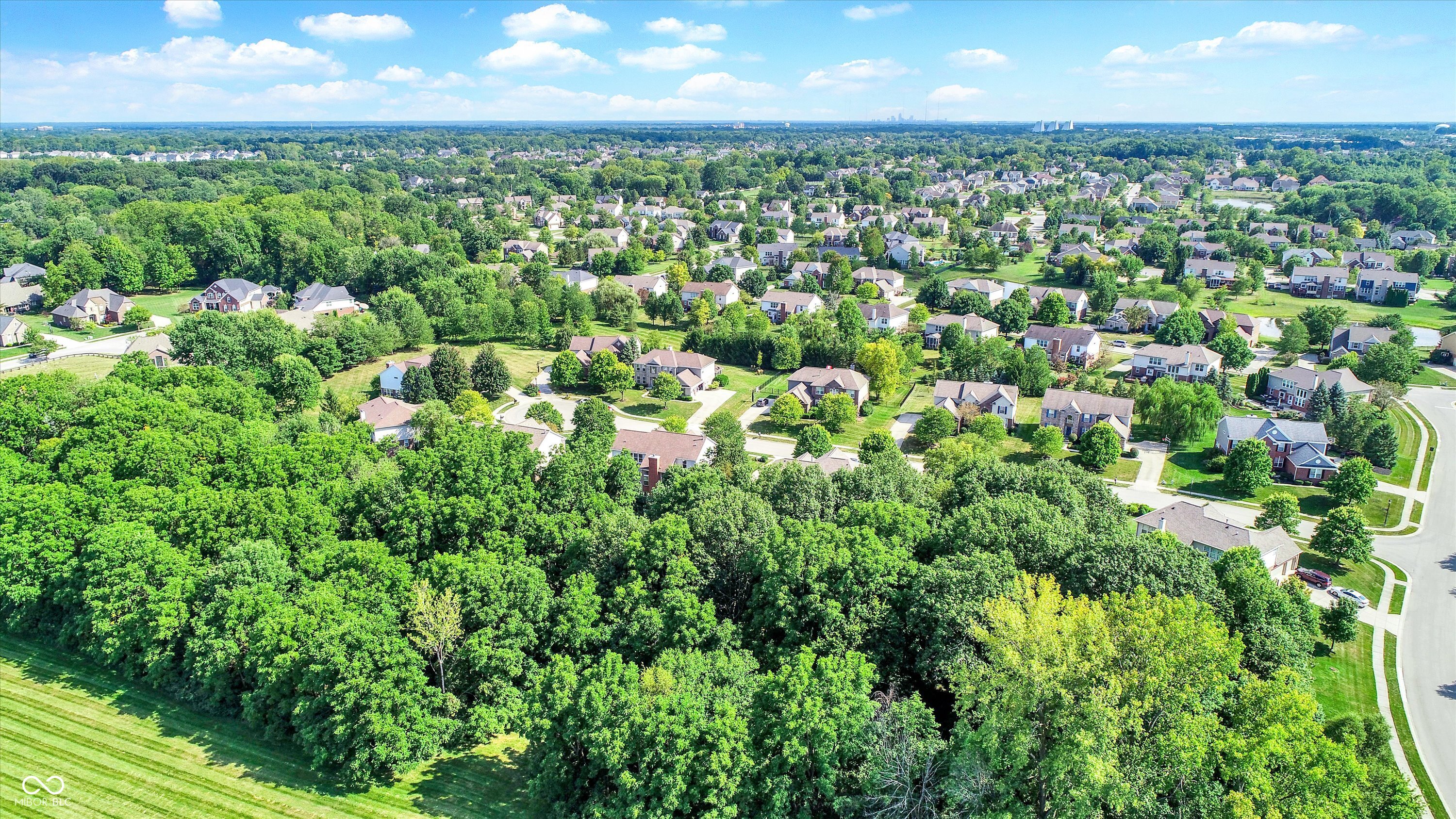 3868 Branch Creek Court