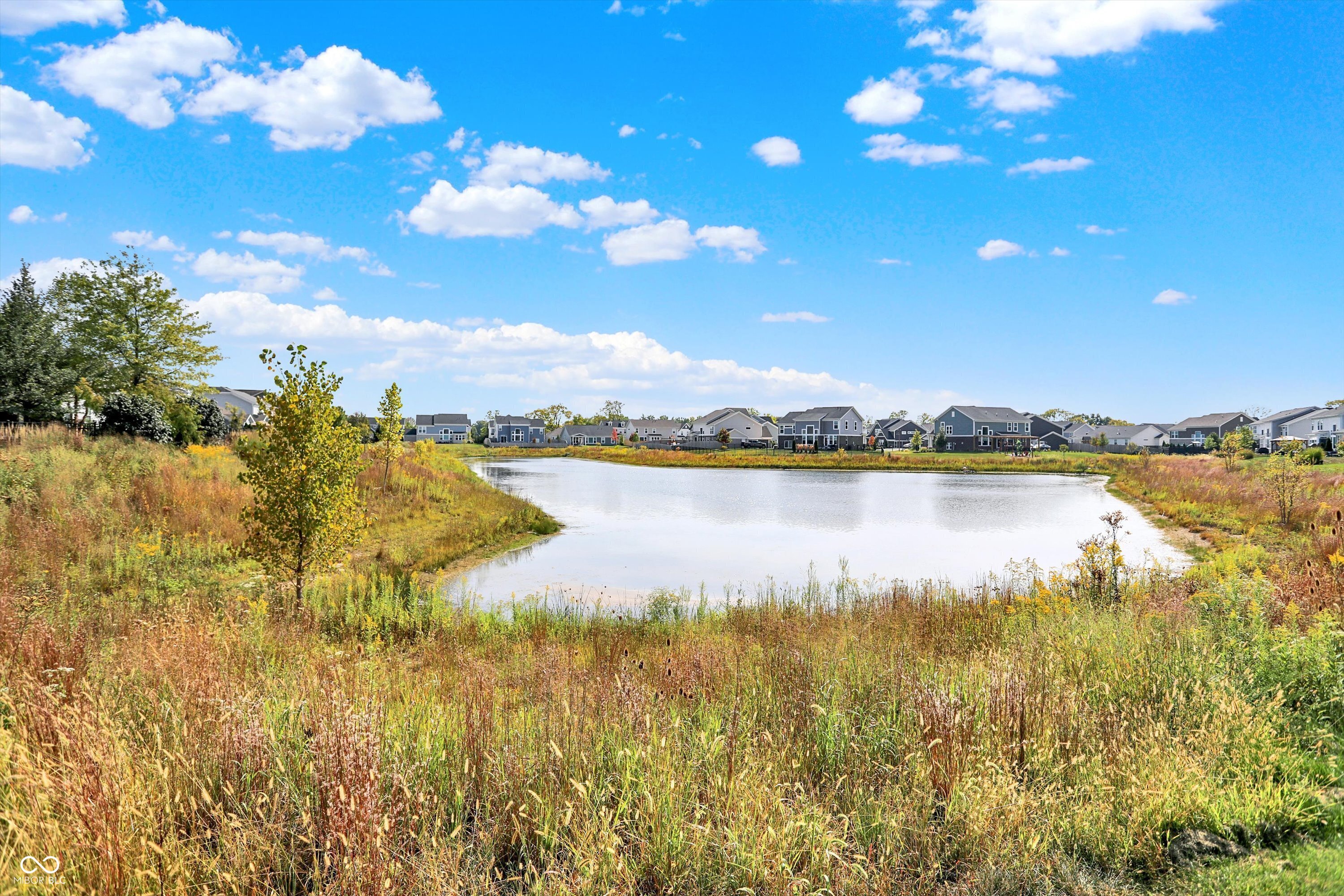6533 Treeline Lane