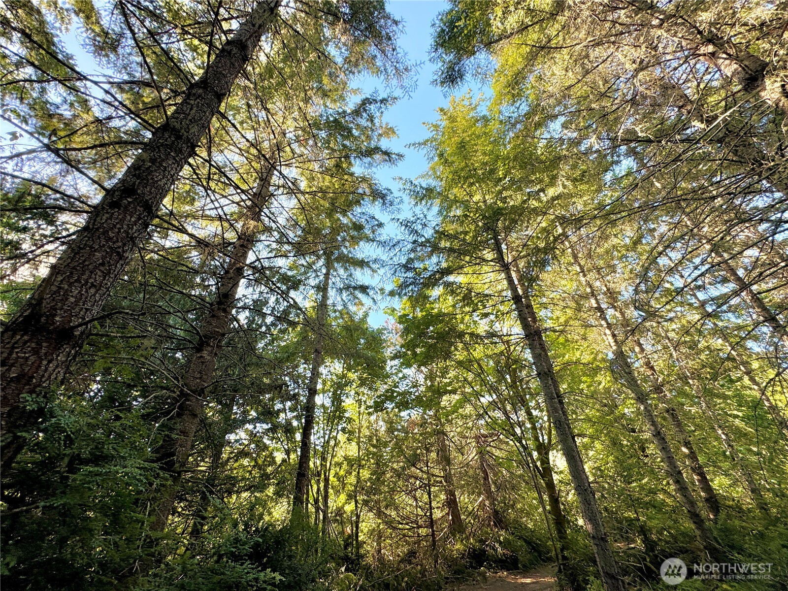 5563 Lackey Court NW