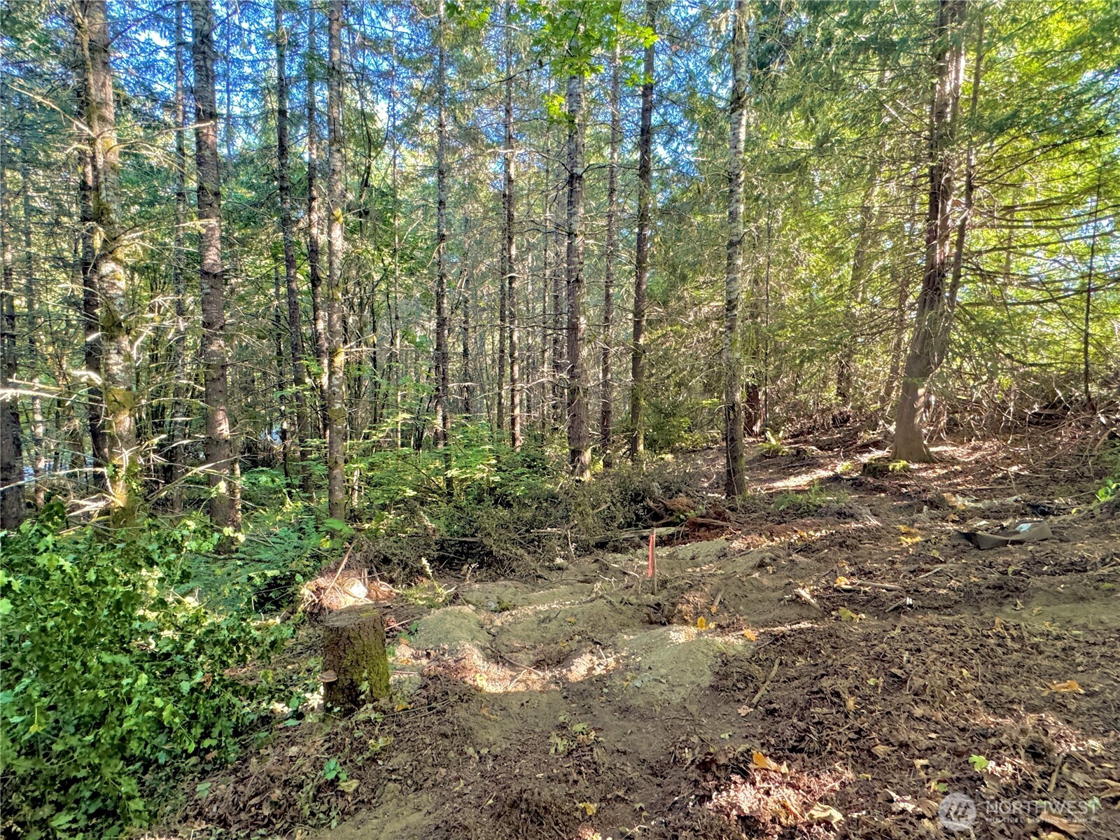 5563 Lackey Court NW