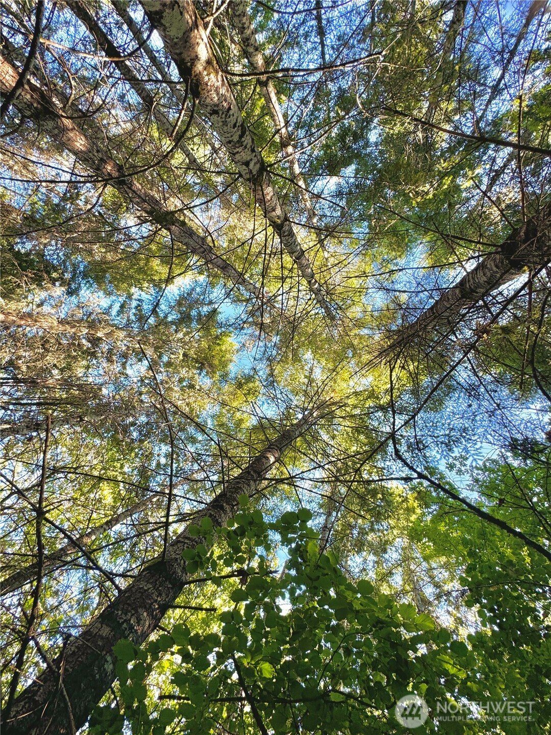 5563 Lackey Court NW