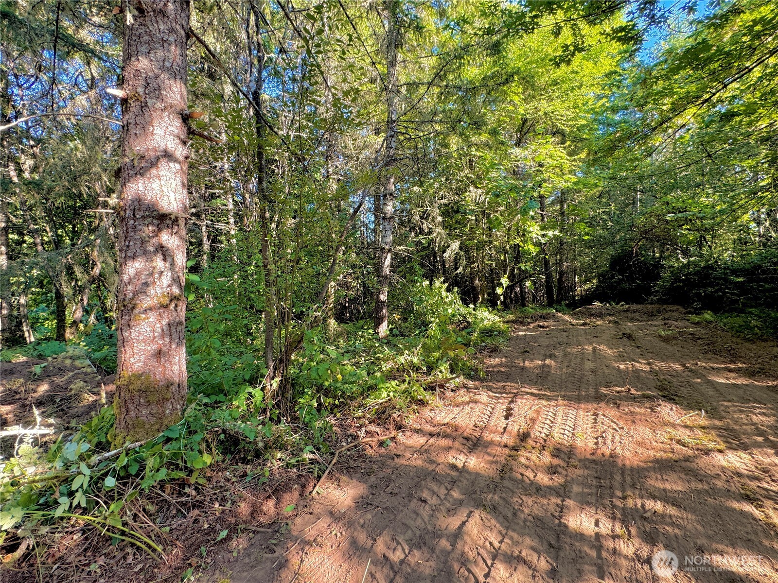 5563 Lackey Court NW