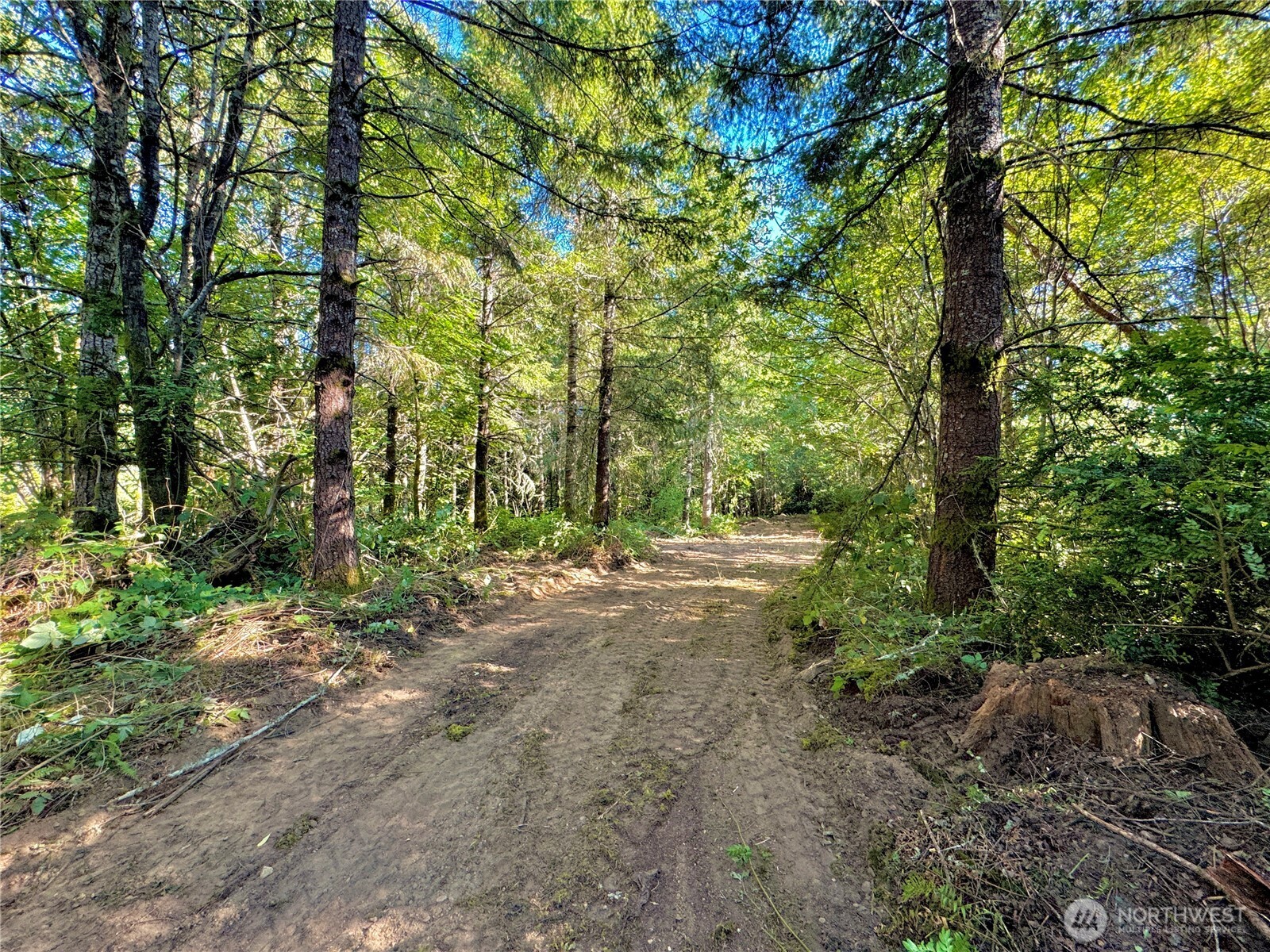 5563 Lackey Court NW