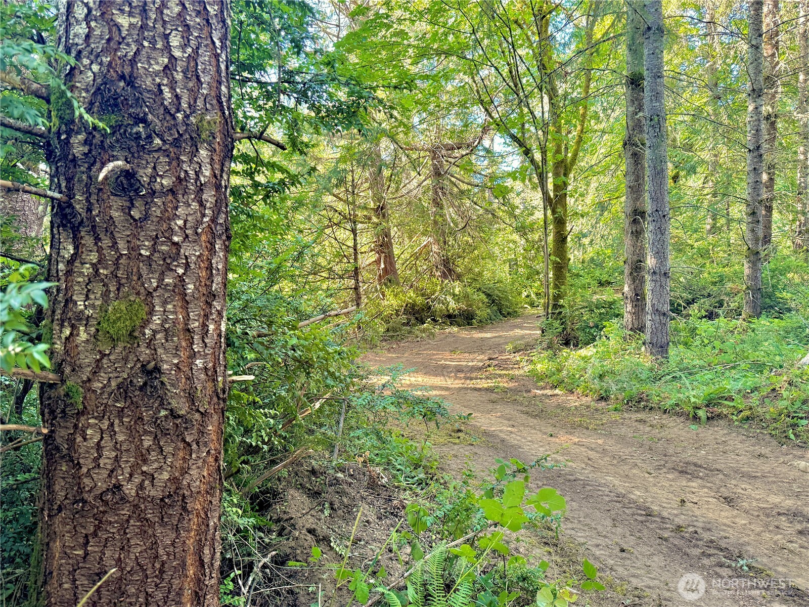 5563 Lackey Court NW