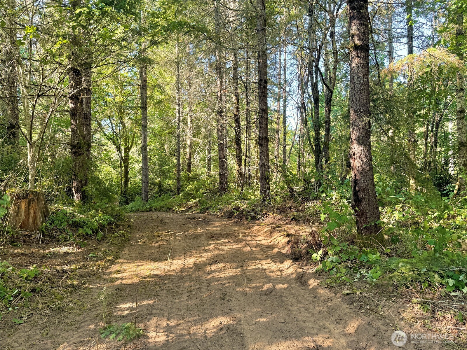 5563 Lackey Court NW