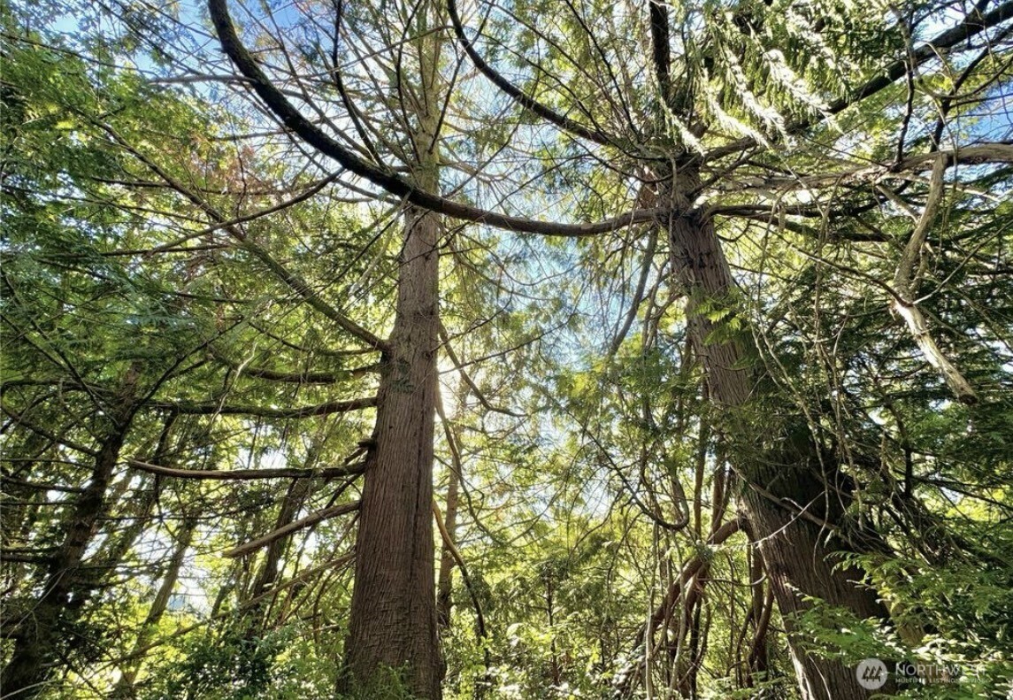 5503 Lackey Court NW