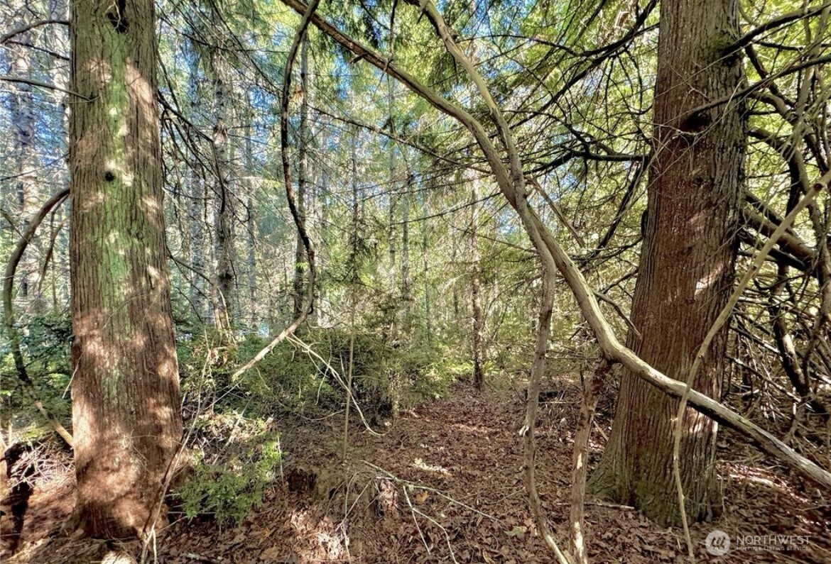 5503 Lackey Court NW