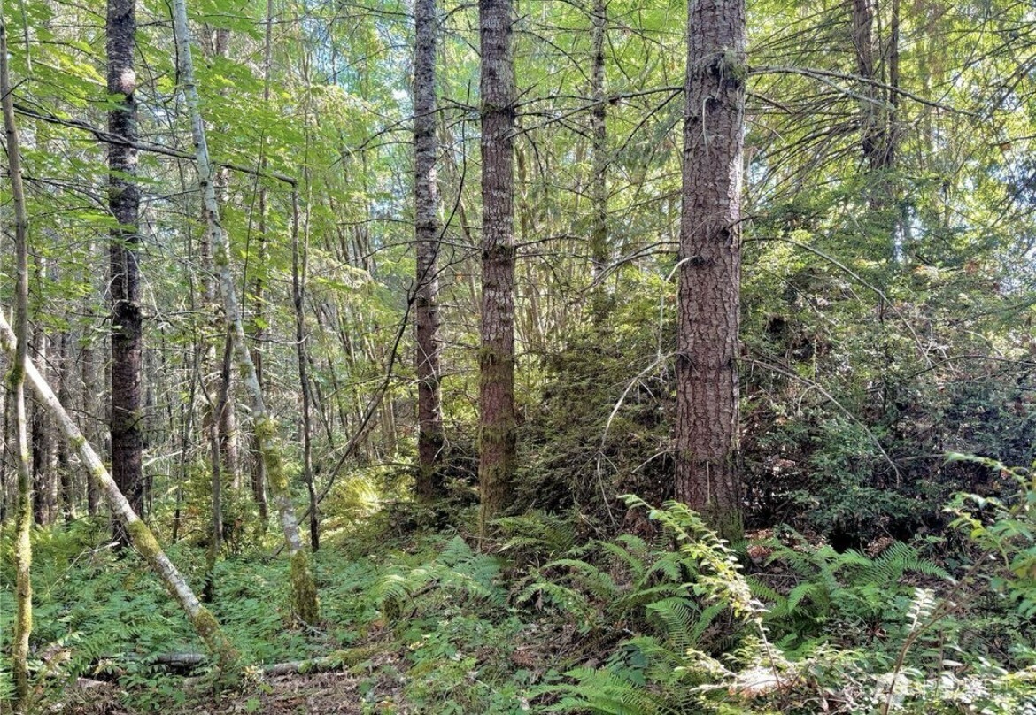 5503 Lackey Court NW