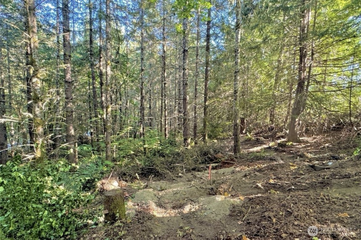 5503 Lackey Court NW