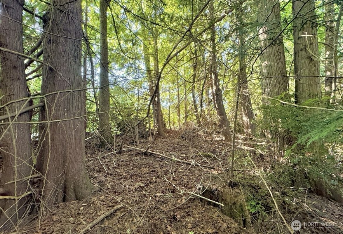 5503 Lackey Court NW