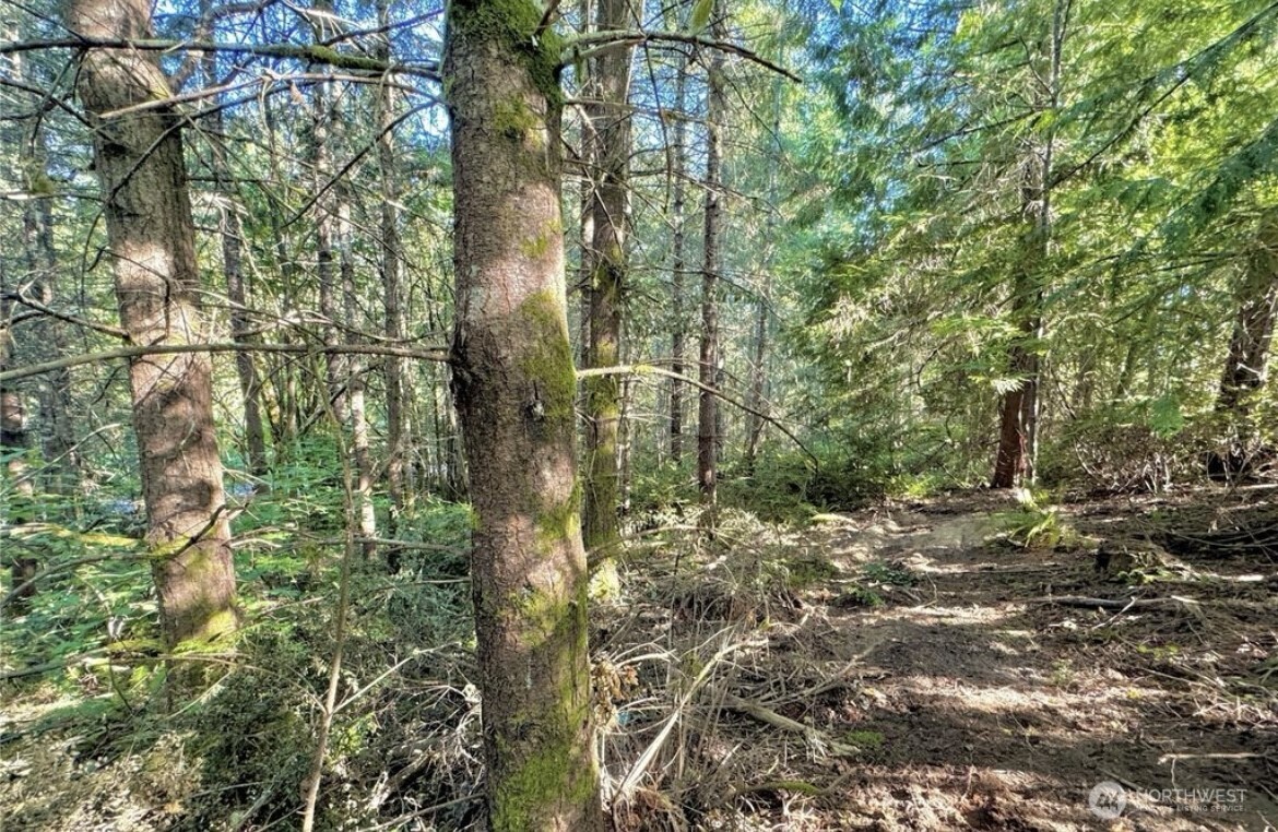 5503 Lackey Court NW