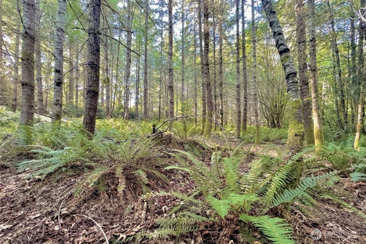 5503 Lackey Court NW