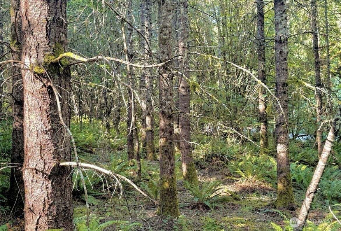 5503 Lackey Court NW