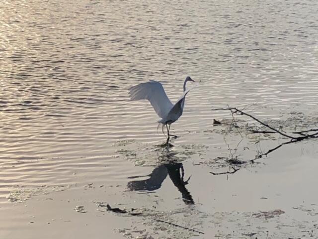 985 Northshore Drive, 985