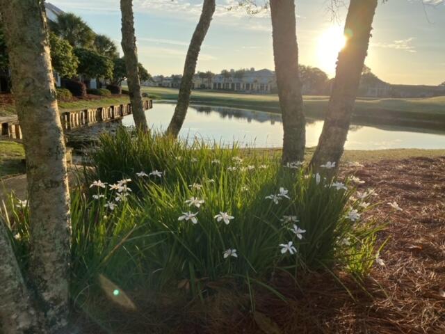 985 Northshore Drive, 985