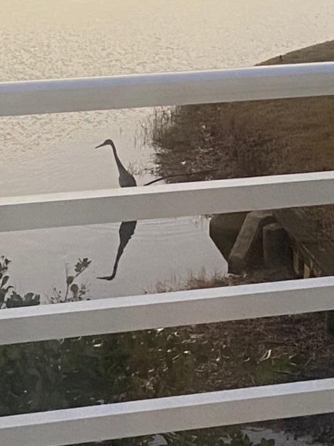 985 Northshore Drive, 985