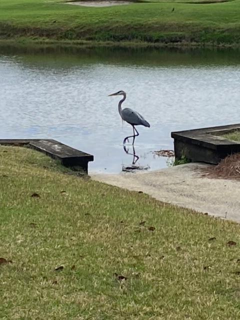 985 Northshore Drive, 985