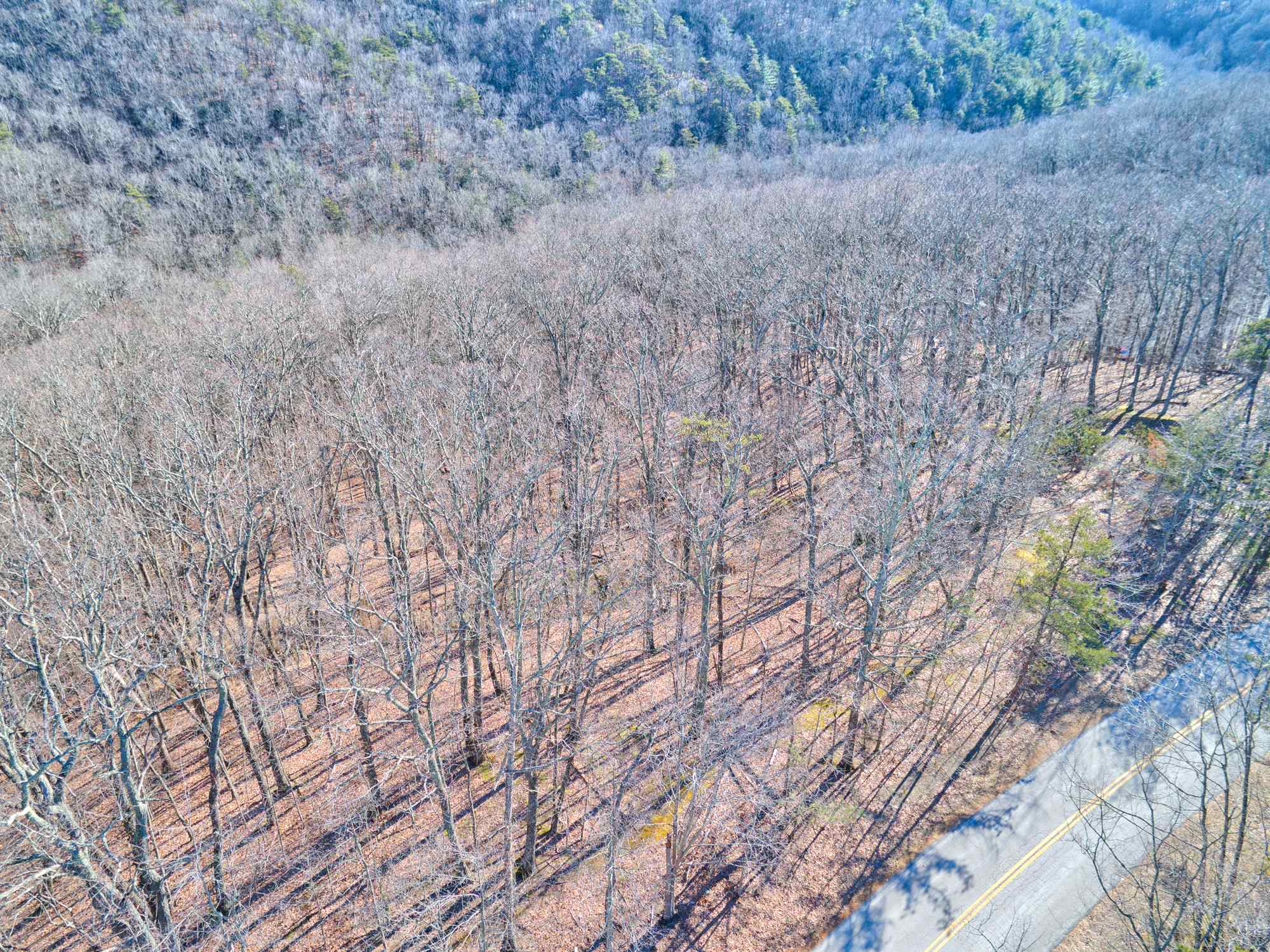 Lot 11 Susannah Drive