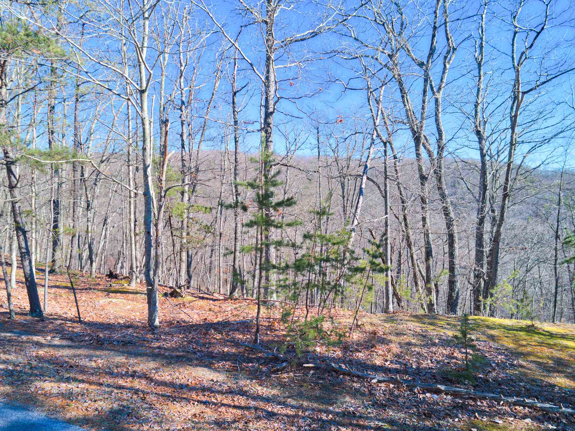 Lot 11 Susannah Drive