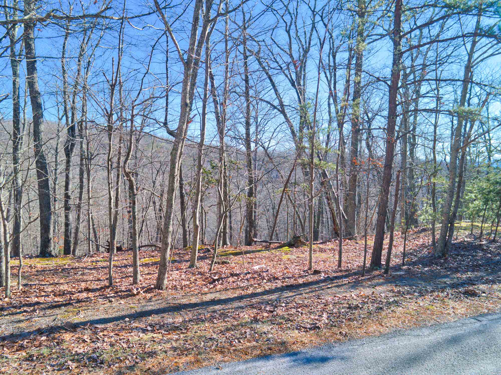 Lot 11 Susannah Drive
