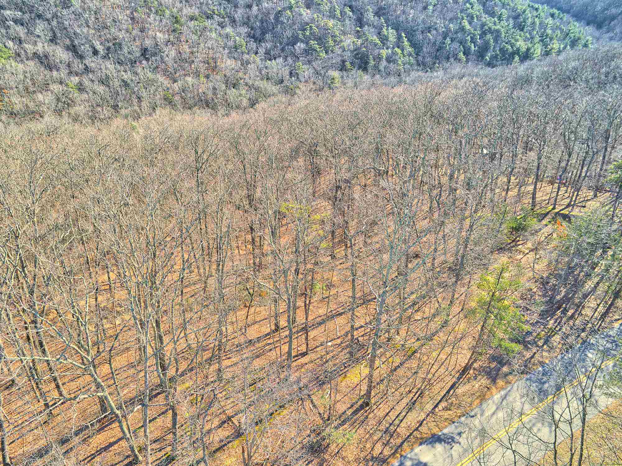 Lot 11 Susannah Drive