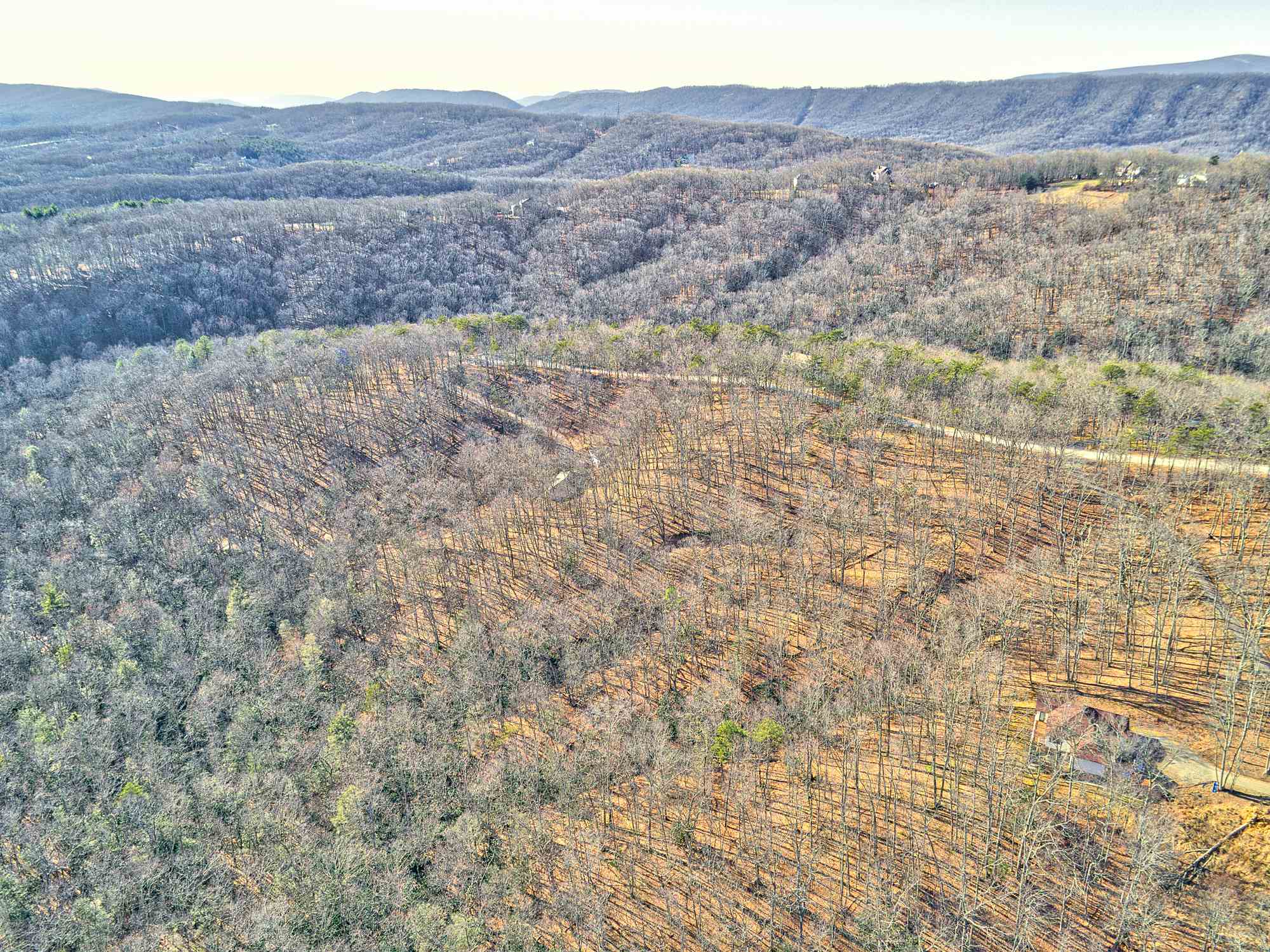 Lot 11 Susannah Drive