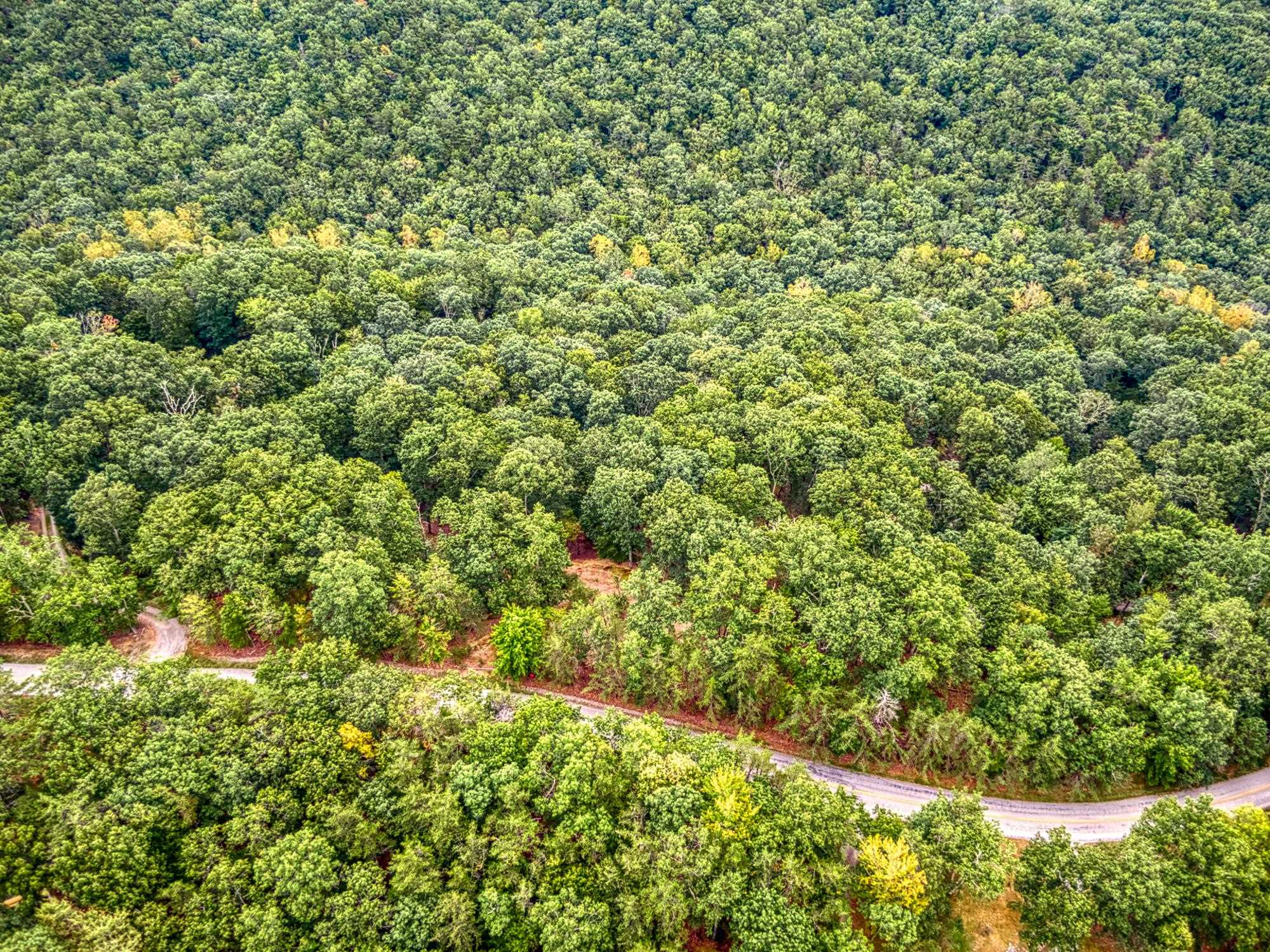 Lot 11 Susannah Drive