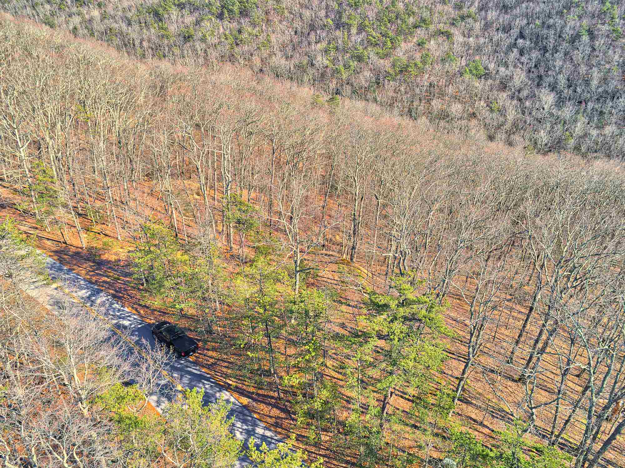Lot 11 Susannah Drive