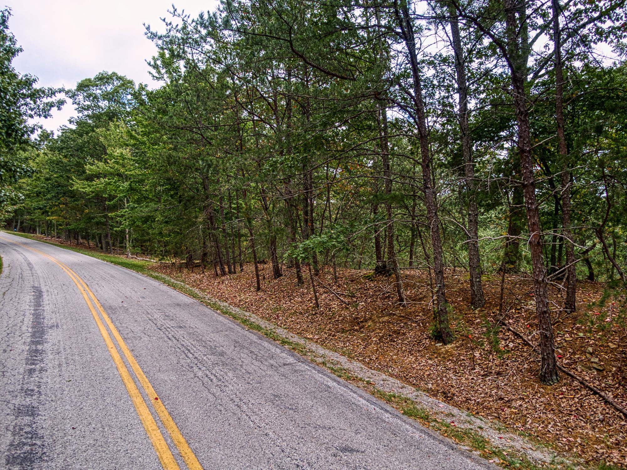 Lot 11 Susannah Drive