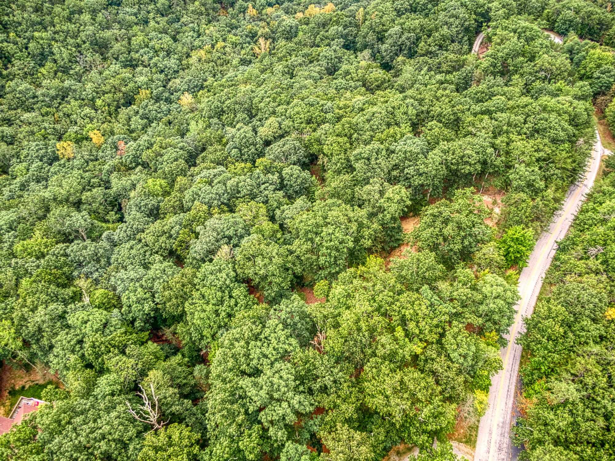 Lot 11 Susannah Drive