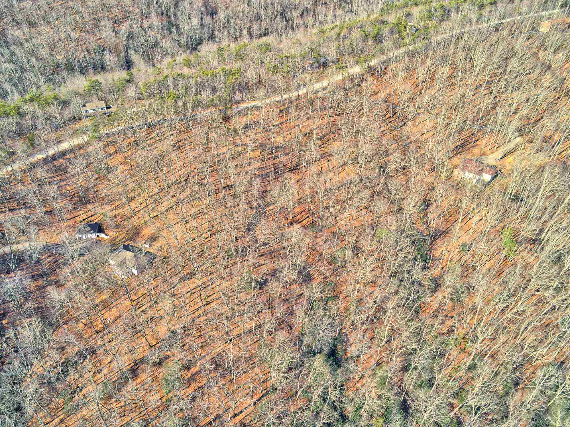 Lot 11 Susannah Drive