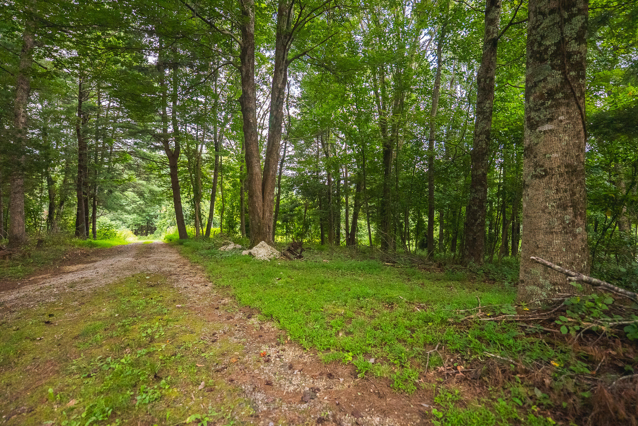 788 Jacks Mill RD SE
