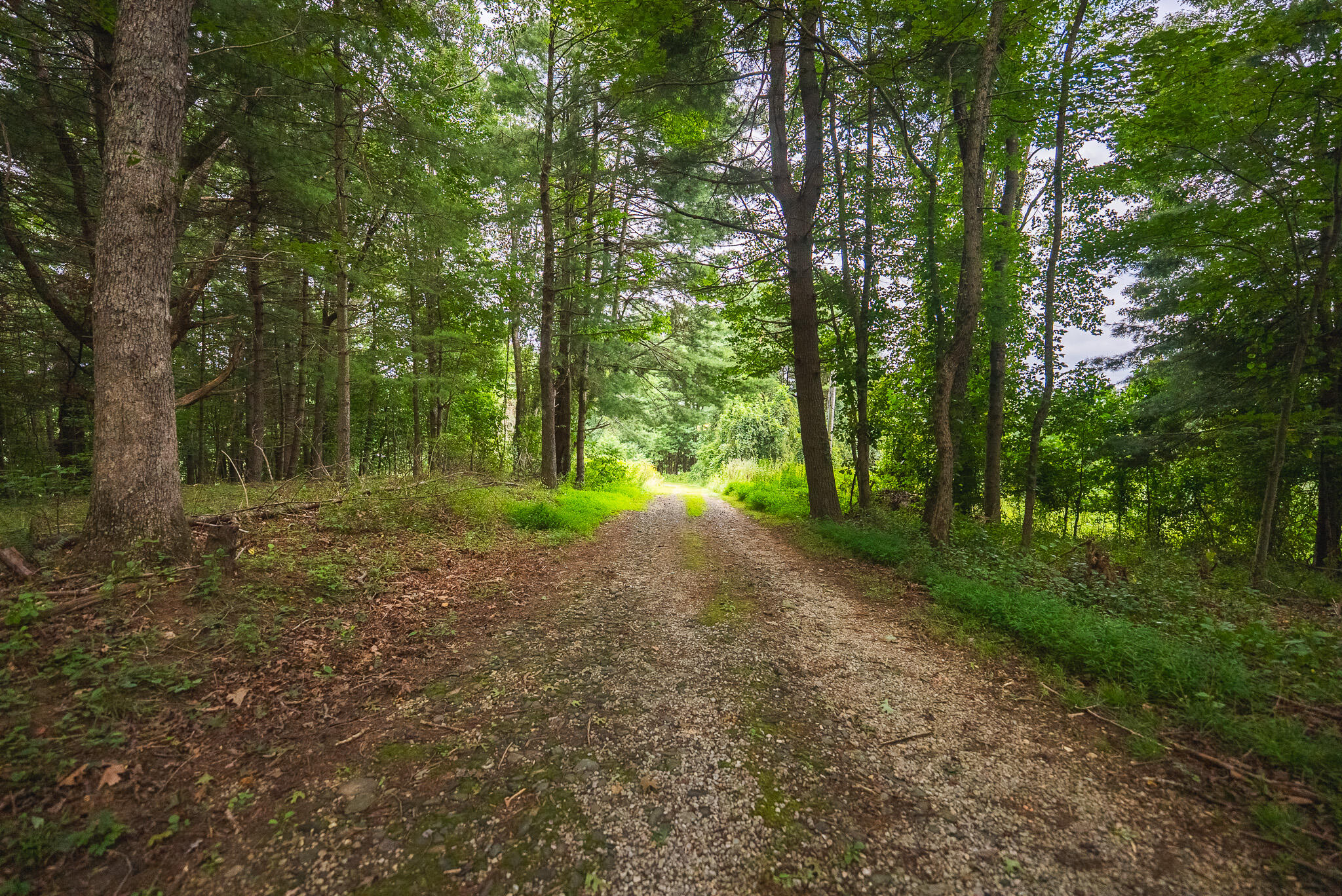 788 Jacks Mill RD SE
