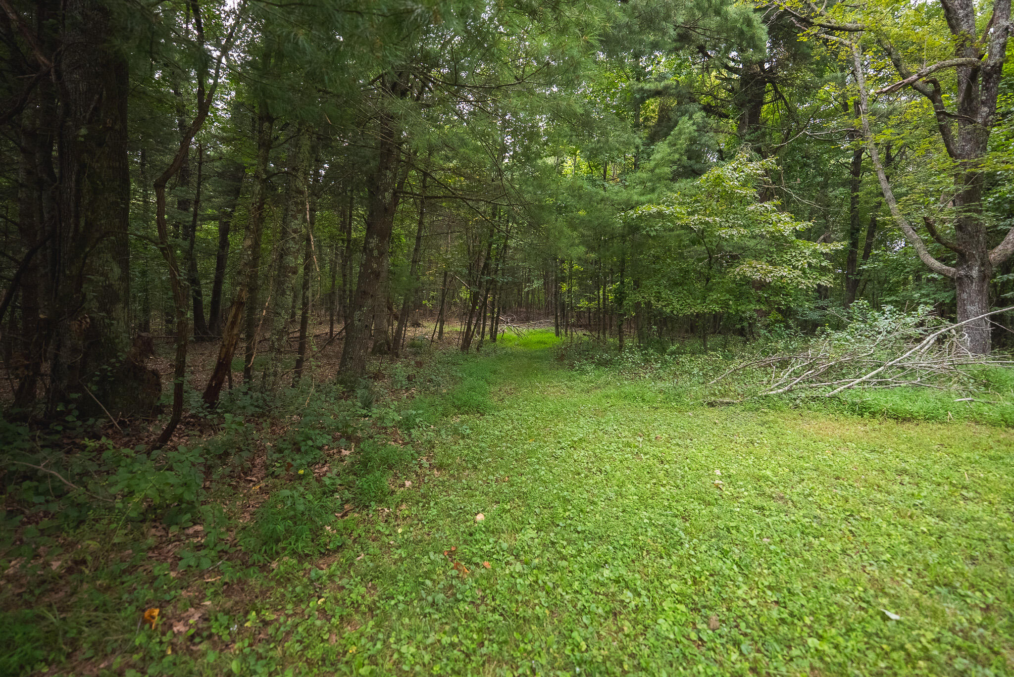 788 Jacks Mill RD SE