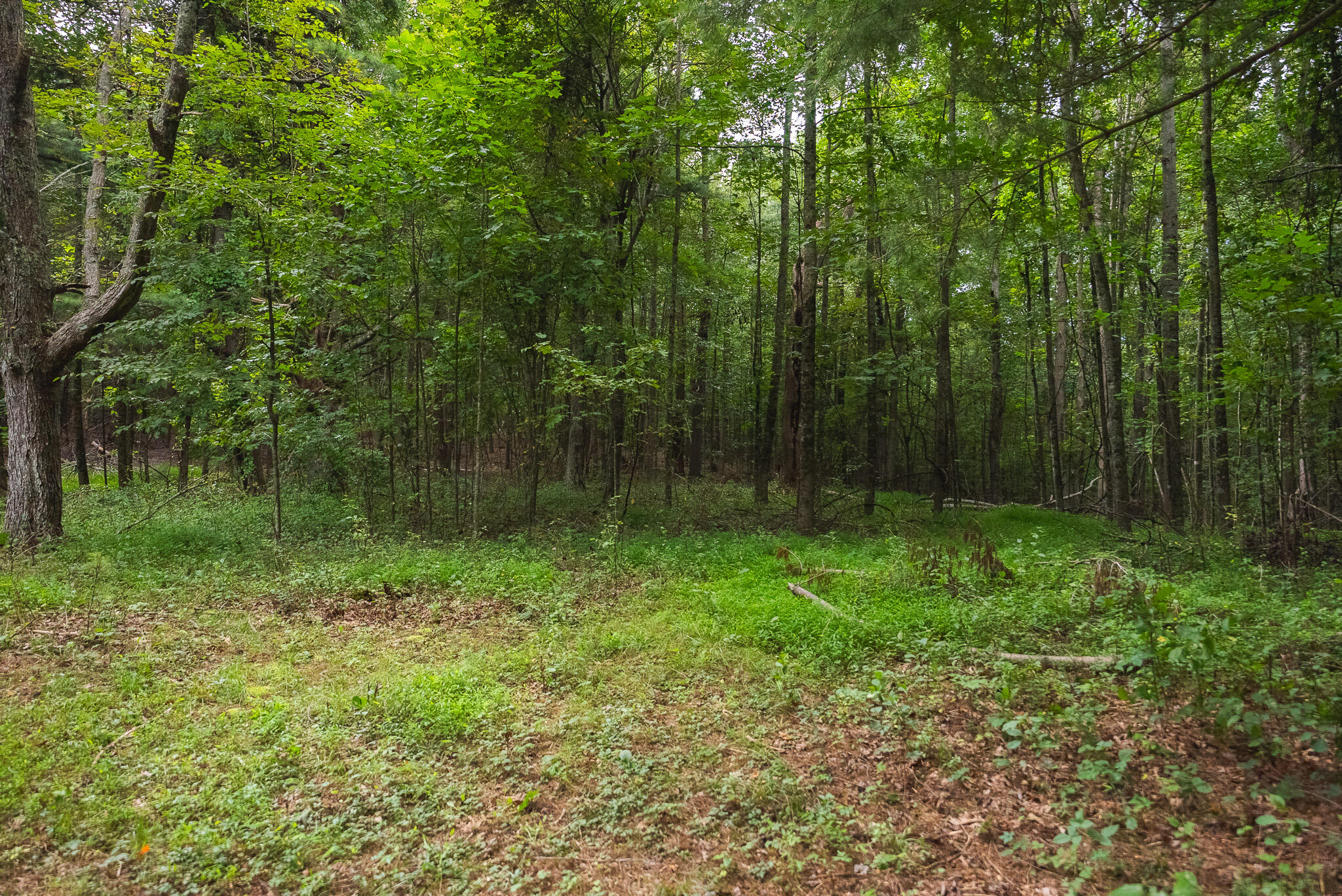 788 Jacks Mill RD SE