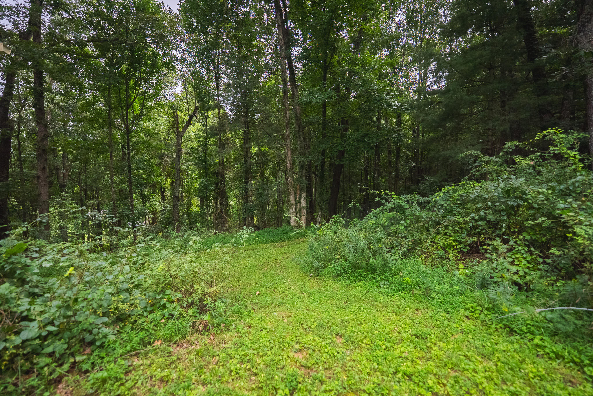 788 Jacks Mill RD SE