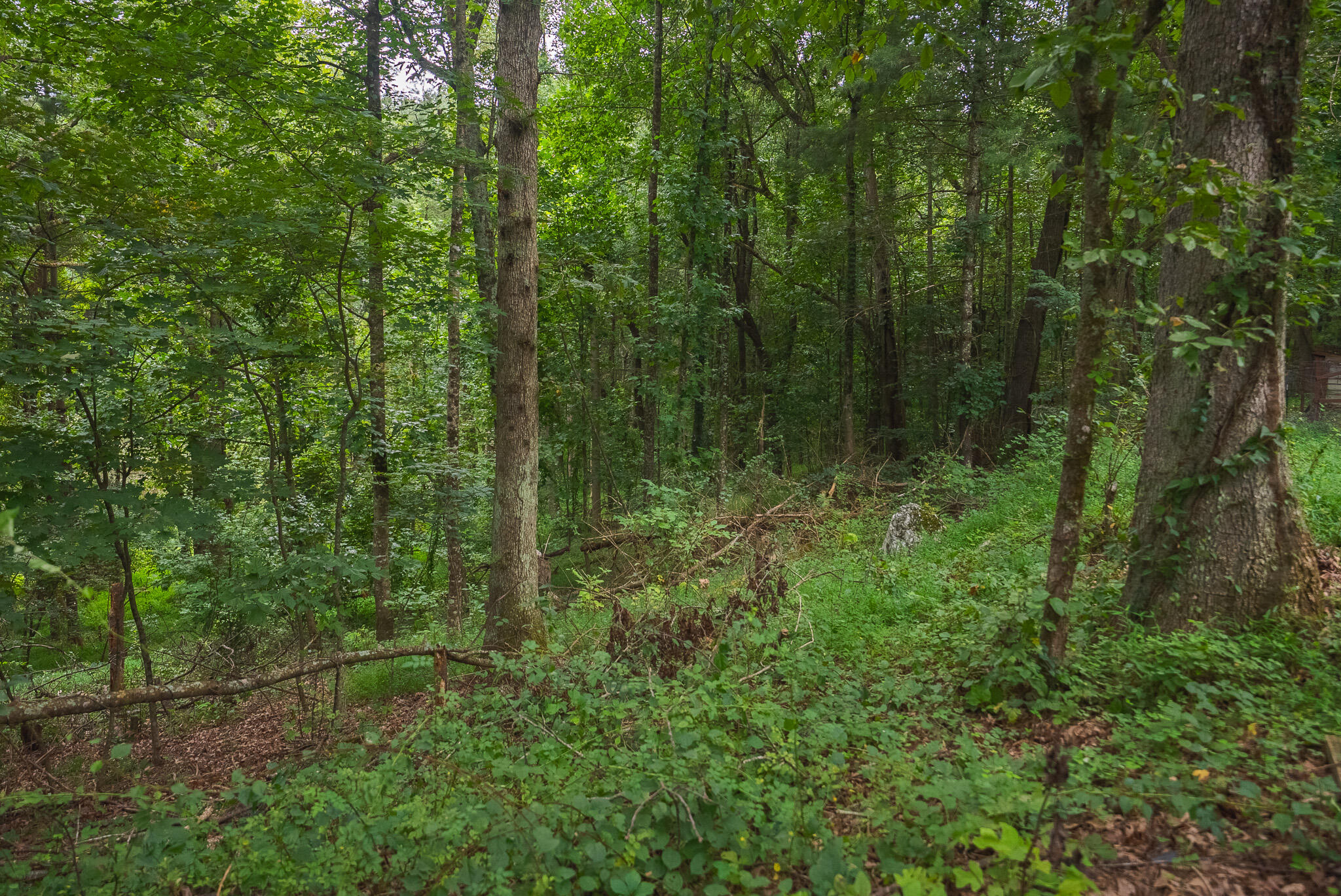 788 Jacks Mill RD SE