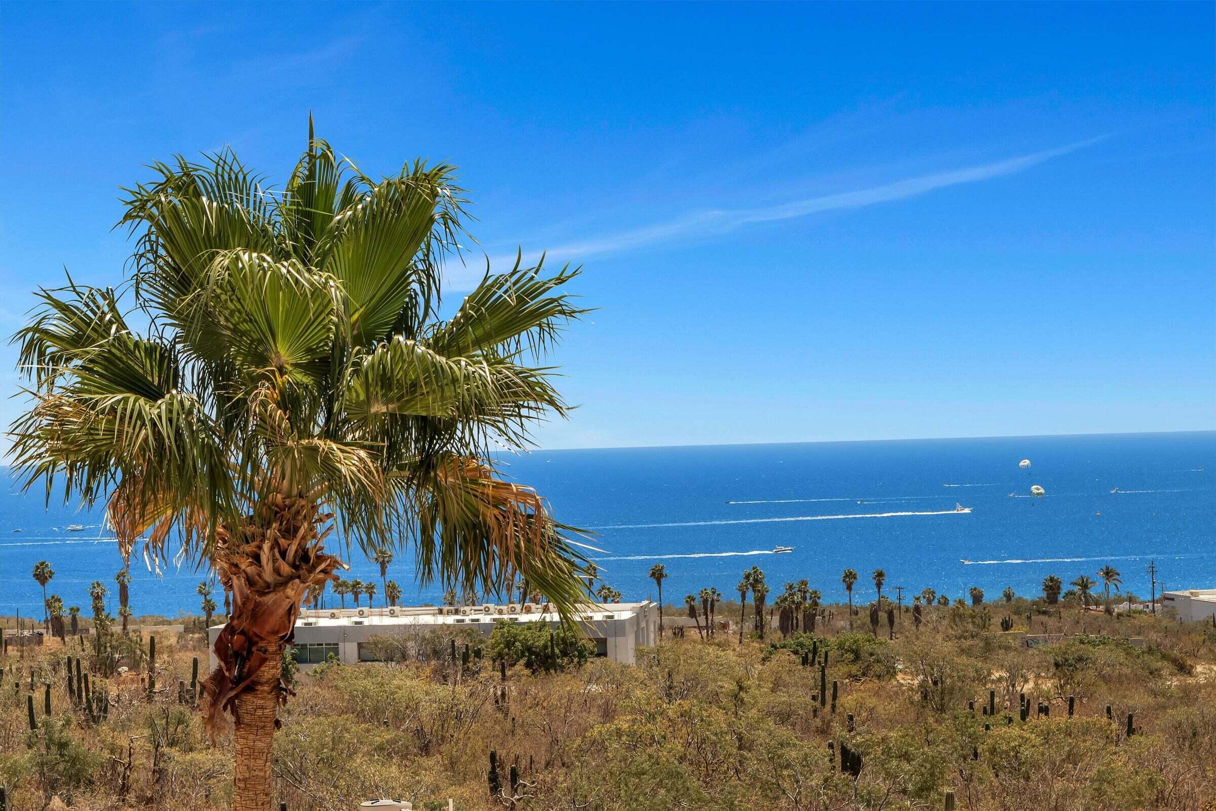 10 SELLER FINANCING, Casa Arte