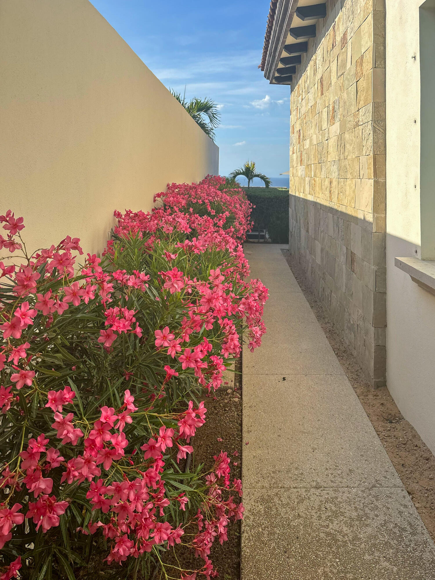 Coronado 4.6, Pacific