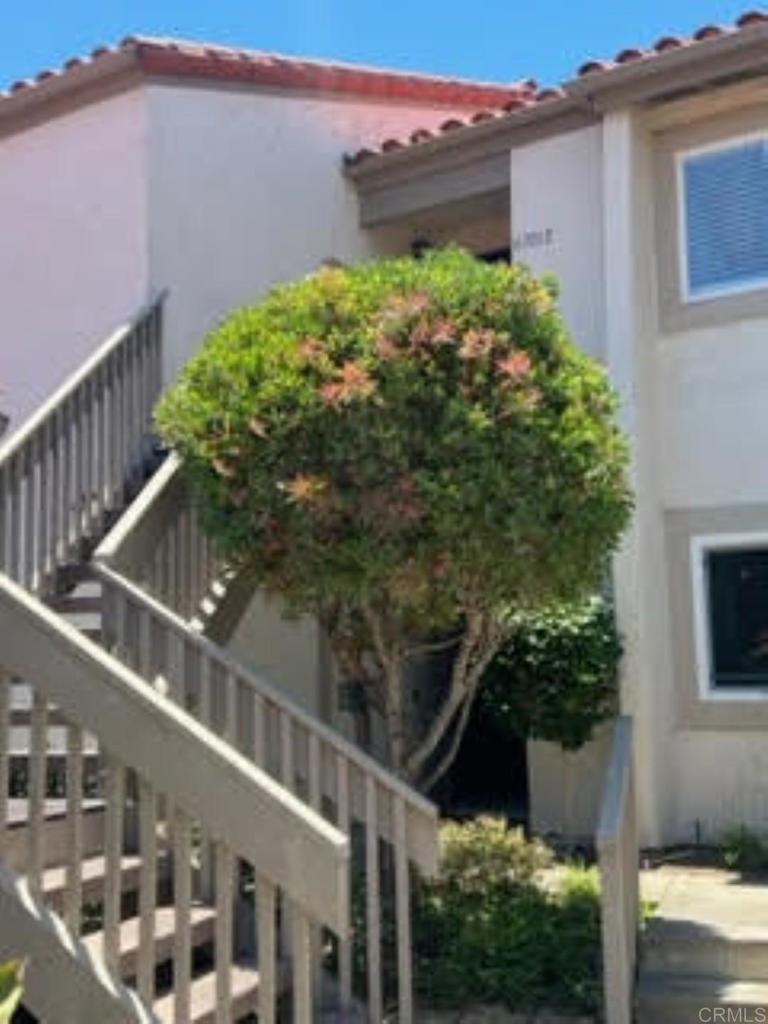 6701 Paseo Del Norte E