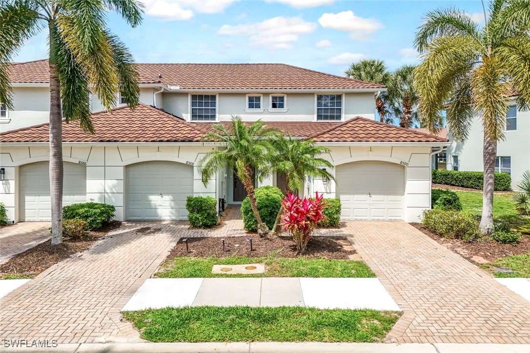 8590 Athena CT