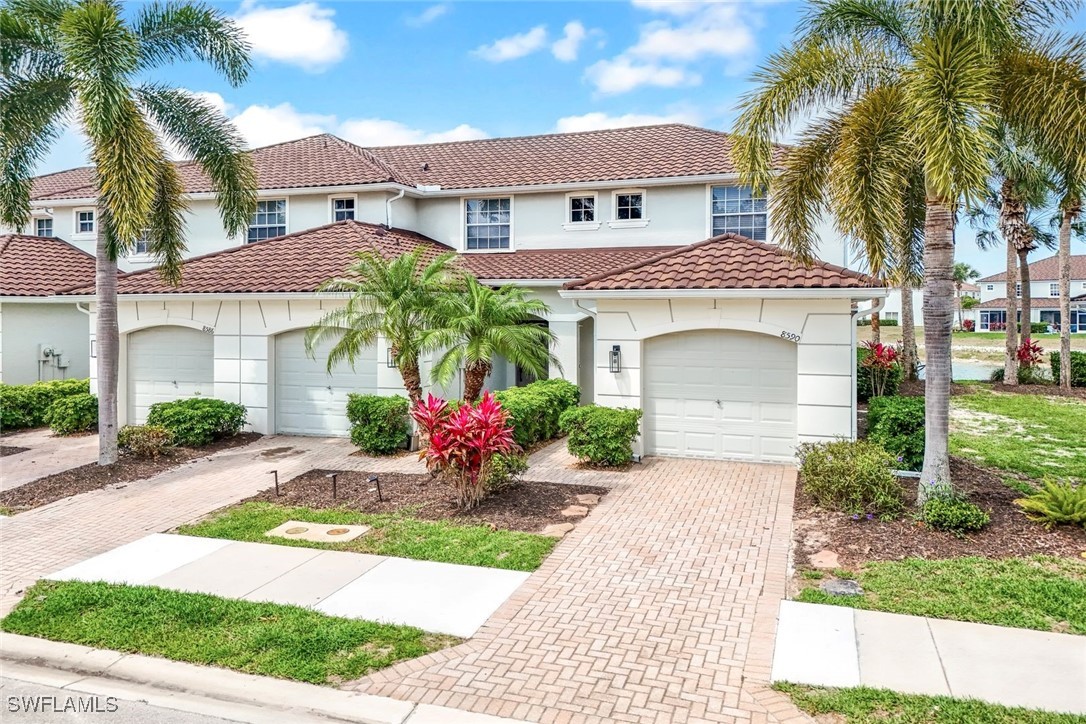 8590 Athena CT