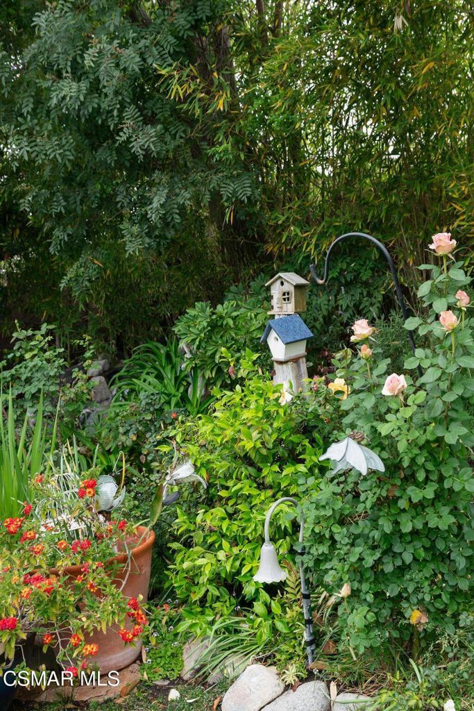 6477 Tamarind Street