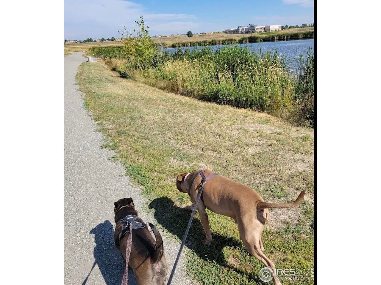 12941 S Princess Cir