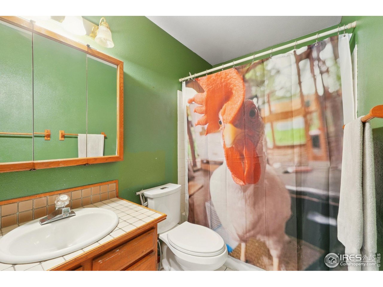 12941 S Princess Cir