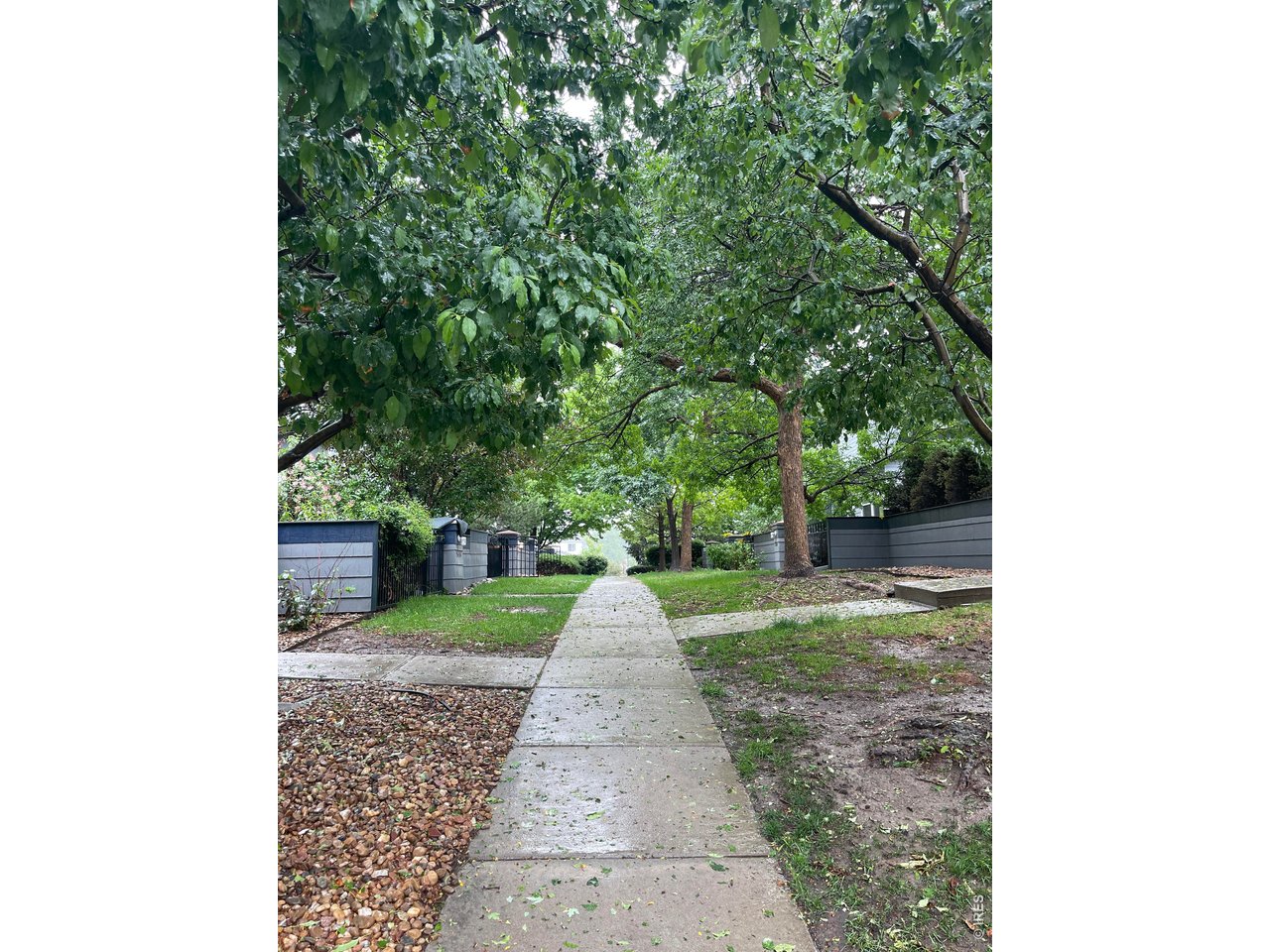 3632 Oakwood Dr