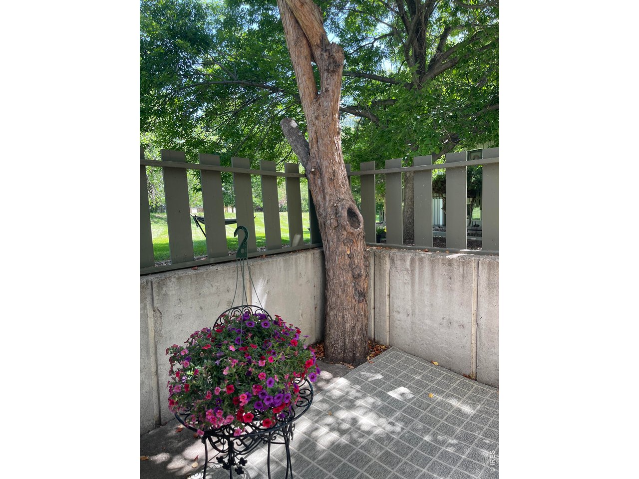 8060 Niwot Rd 7 E