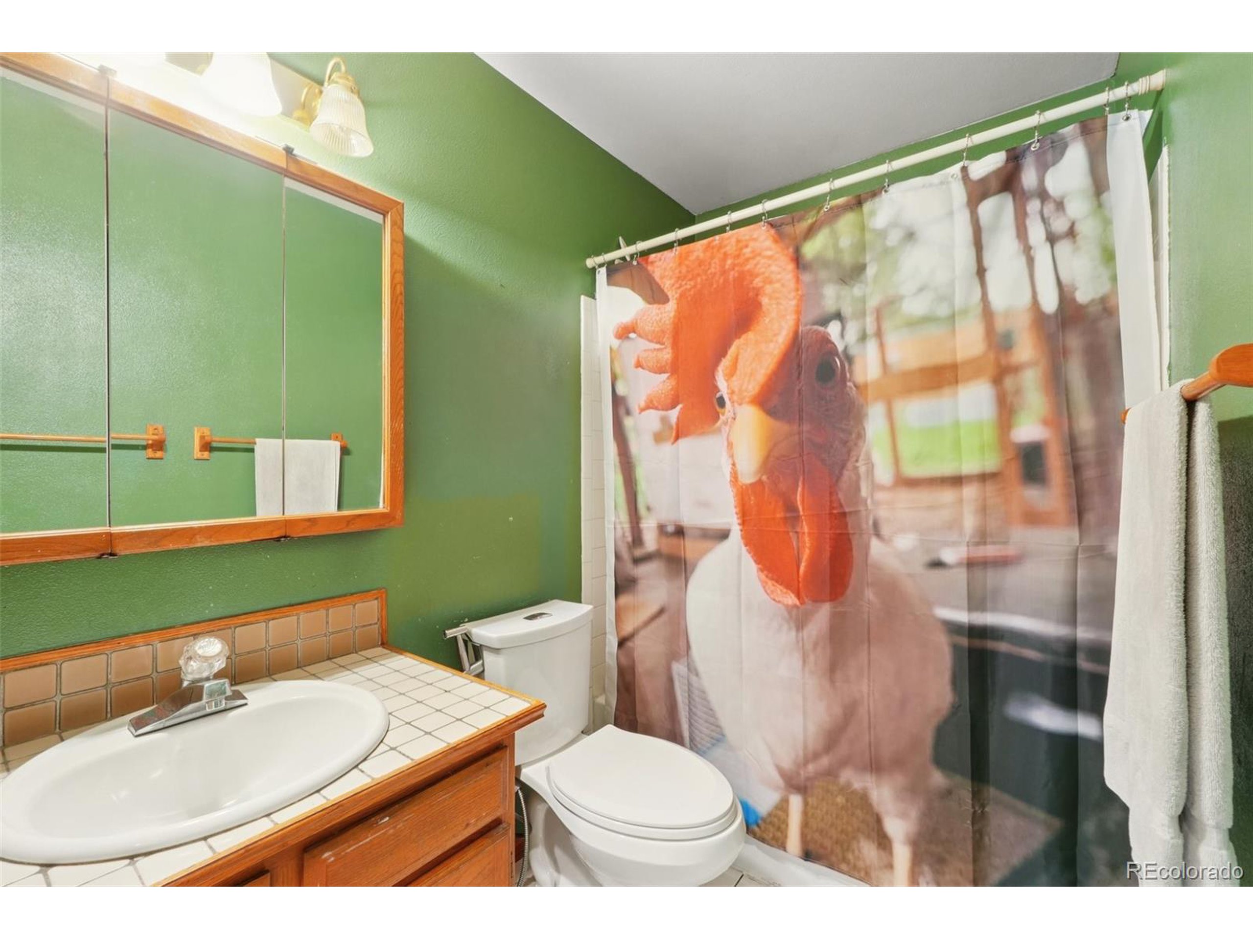 12941 S Princess Cir