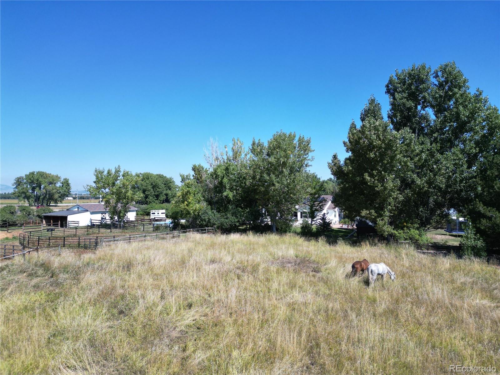 6957 Peppertree Drive