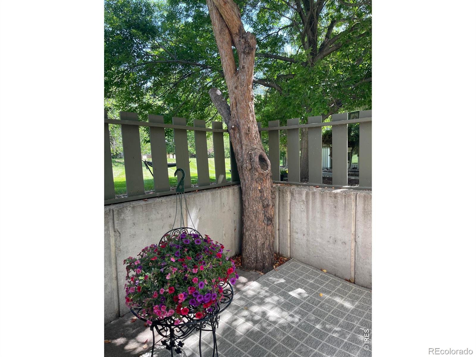 8060 Niwot Road Unit: 7 E